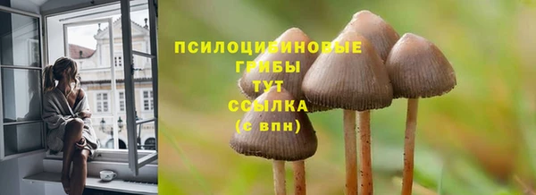 не бодяженный Абаза
