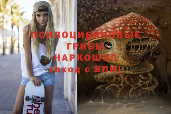 соль ск Абинск