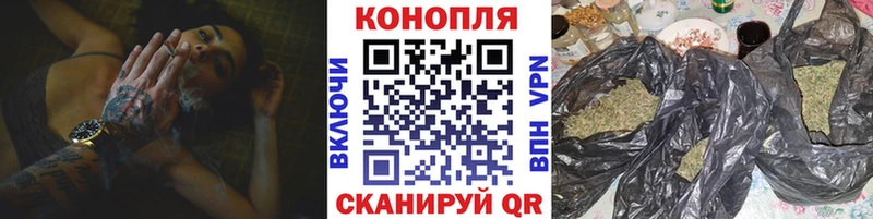 Каннабис индика Александровск-Сахалинский